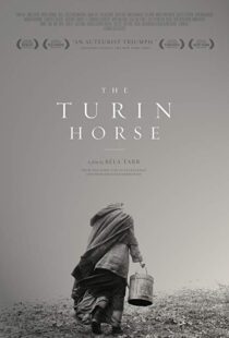 دانلود فیلم The Turin Horse 201110493-535993573