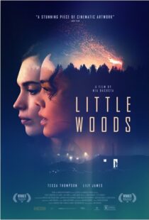 دانلود فیلم Little Woods 201822292-2026246620