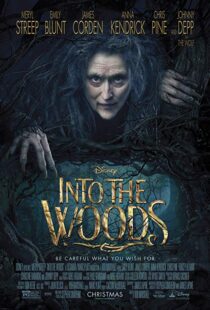 دانلود فیلم Into the Woods 20143675-684399926