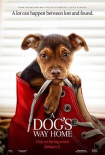 دانلود فیلم A Dog’s Way Home 20198110-2041023121