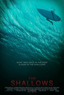 دانلود فیلم The Shallows 20166608-1201840861