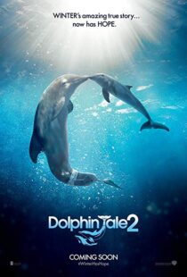 دانلود فیلم Dolphin Tale 2 201421312-1299045963