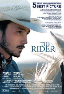 دانلود فیلم The Rider 20174944-1684997295