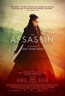 دانلود فیلم The Assassin 201513760-367198148