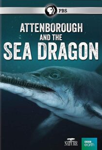 دانلود مستند Attenborough and the Sea Dragon 20188753-1055082146