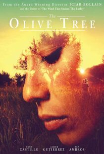 دانلود فیلم The Olive Tree 201615934-597753162