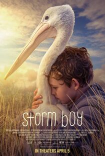 دانلود فیلم Storm Boy 20199003-672563457