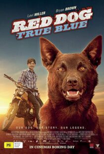 دانلود فیلم Red Dog: True Blue 20168899-1264198414