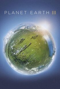 دانلود مستند Planet Earth II58204-1059881256