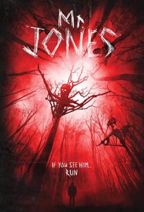 دانلود فیلم Mr. Jones 201337611-569276583