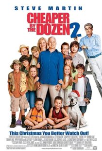 دانلود فیلم Cheaper by the Dozen 2 200534536-730272403