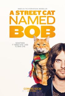 دانلود فیلم A Street Cat Named Bob 201641621-483951460