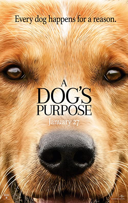 دانلود فیلم هندی A Dog’s Purpose 2017