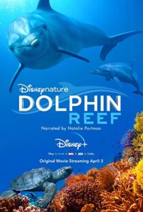 دانلود مستند Dolphin Reef 201838724-472195742