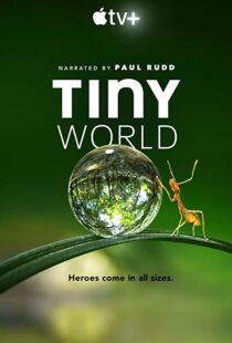 دانلود مستند Tiny World52124-280549255