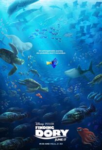 دانلود انیمیشن Finding Dory 201658678-1631122771