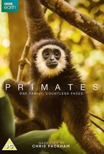 دانلود مستند Primates77865-1169342357