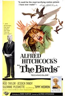 دانلود فیلم The Birds 196382372-437370531