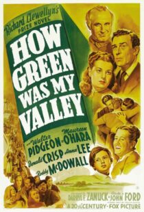 دانلود فیلم How Green Was My Valley 194181855-1259471994