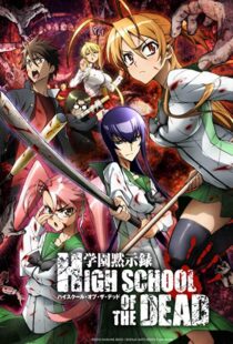 دانلود انیمه Highschool of the Dead95235-1603131087