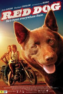 دانلود فیلم Red Dog 201187414-809446053