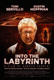 دانلود فیلم Into the Labyrinth 201991141-67051412