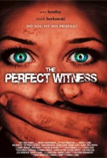 دانلود فیلم The Perfect Witness 200796937-1825375656