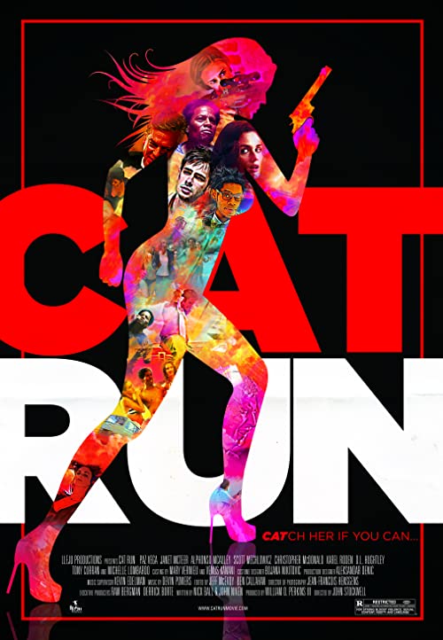 دانلود فیلم Cat Run 2011