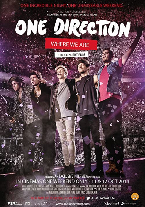 دانلود مستند One Direction: Where We Are – The Concert Film 2014