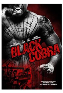 دانلود فیلم Black Cobra 201297793-926918270