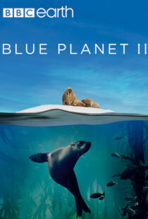 دانلود مستند Blue Planet II100194-308119257