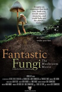 دانلود مستند Fantastic Fungi 2019100518-179426378