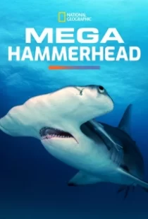 دانلود مستند Mega Hammerhead 2016103122-938268718