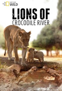 دانلود مستند Lions of Crocodile River 2007103328-1506868203