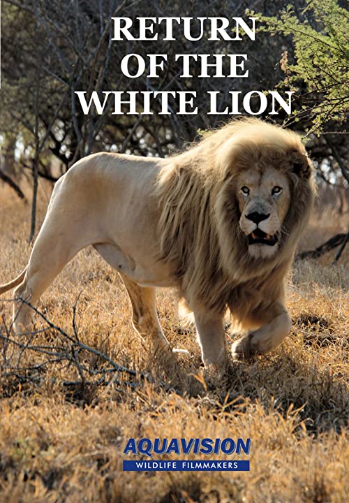 دانلود مستند Return of the White Lion 2008