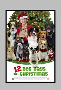 دانلود فیلم 12 Dog Days Till Christmas 2014100712-1470163691