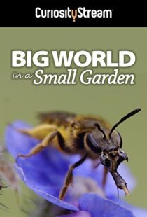 دانلود مستند Big World in a Small Garden 2016102965-1563632475