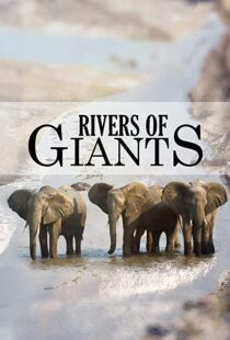 دانلود مستند Rivers of Giants 2005102245-1638375298