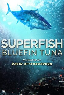 دانلود مستند Superfish Bluefin Tuna 2012101607-415103186