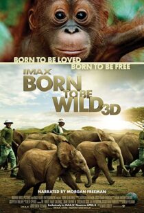 دانلود مستند Born to Be Wild 2011110503-1786906496