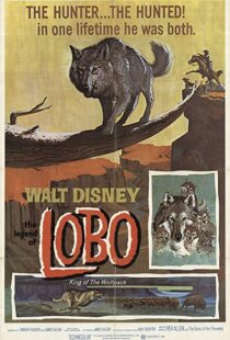 دانلود فیلم The Legend of Lobo 1962111441-1489344141