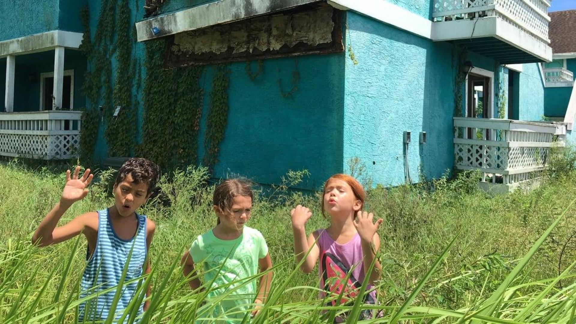 دانلود فیلم The Florida Project 2017