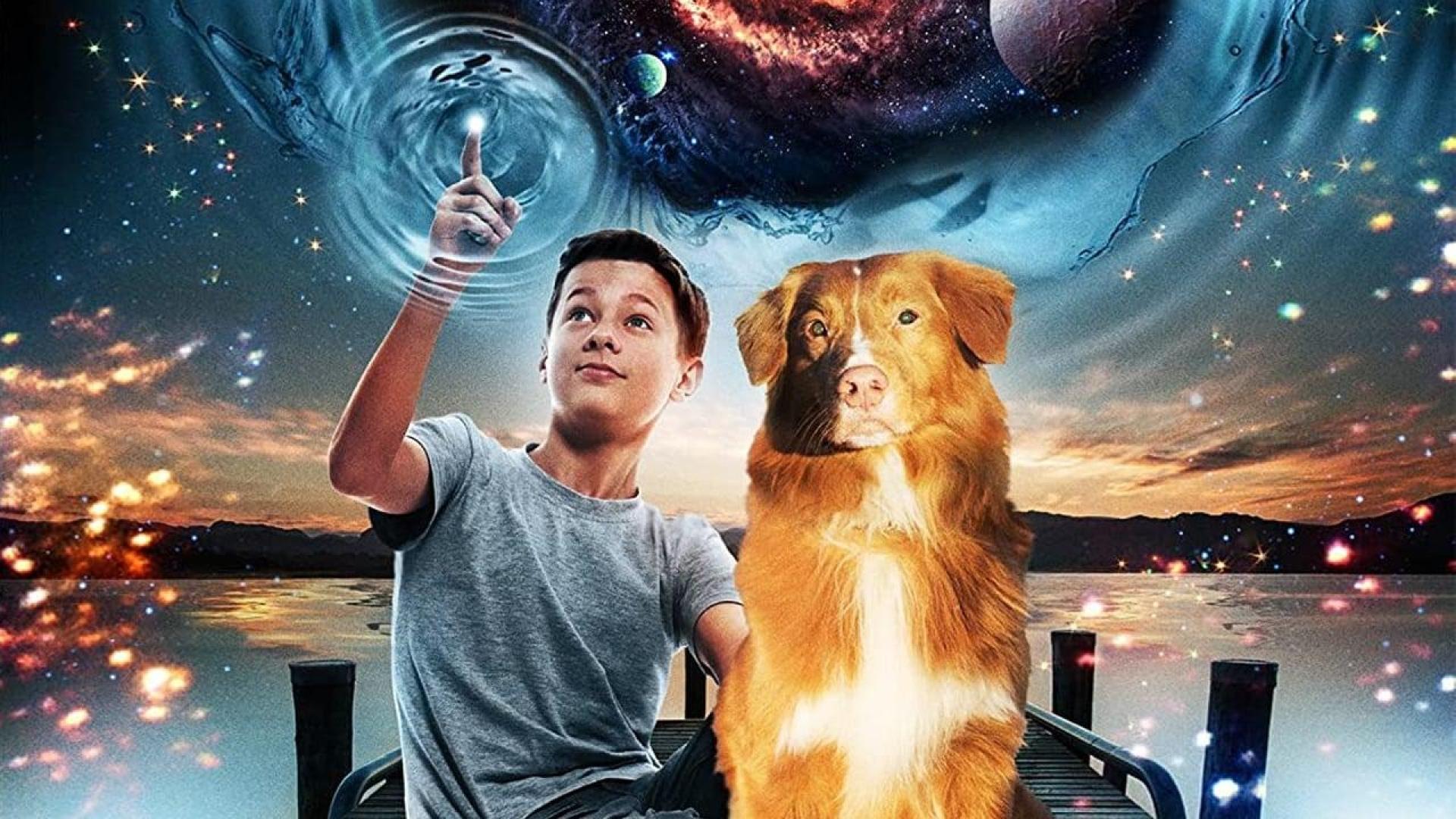 دانلود فیلم My Dog the Space Traveler 2014