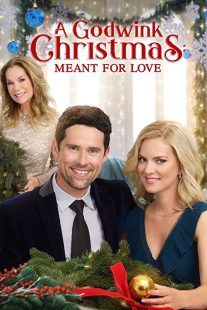 دانلود فیلم A Godwink Christmas: Meant for Love 201931842-366684048