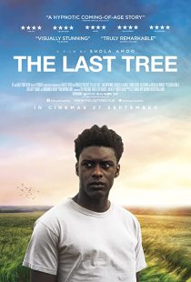 دانلود فیلم The Last Tree 201931686-906132209