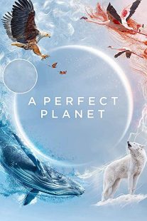 دانلود مستند A Perfect Planet231098-1602081009