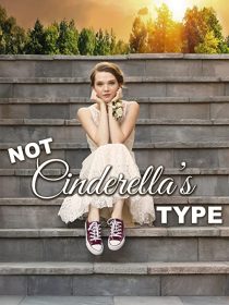 دانلود فیلم Not Cinderella’s Type 2018254350-976781009