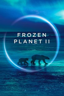 دانلود مستند Frozen Planet II268784-1617248924