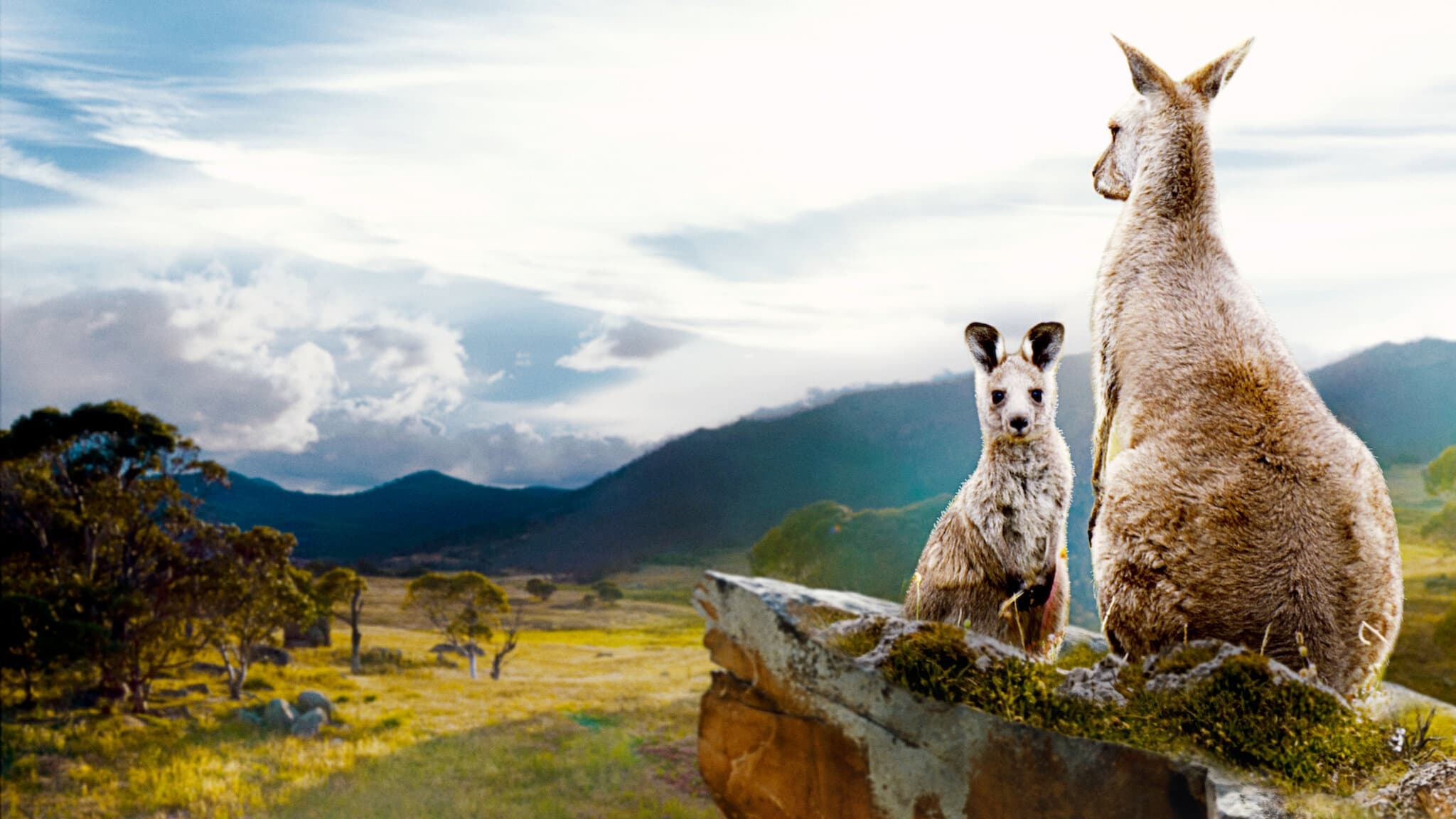 دانلود فیلم Kangaroo Valley 2022