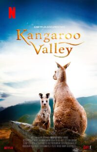 دانلود فیلم Kangaroo Valley 2022322977-1135459945